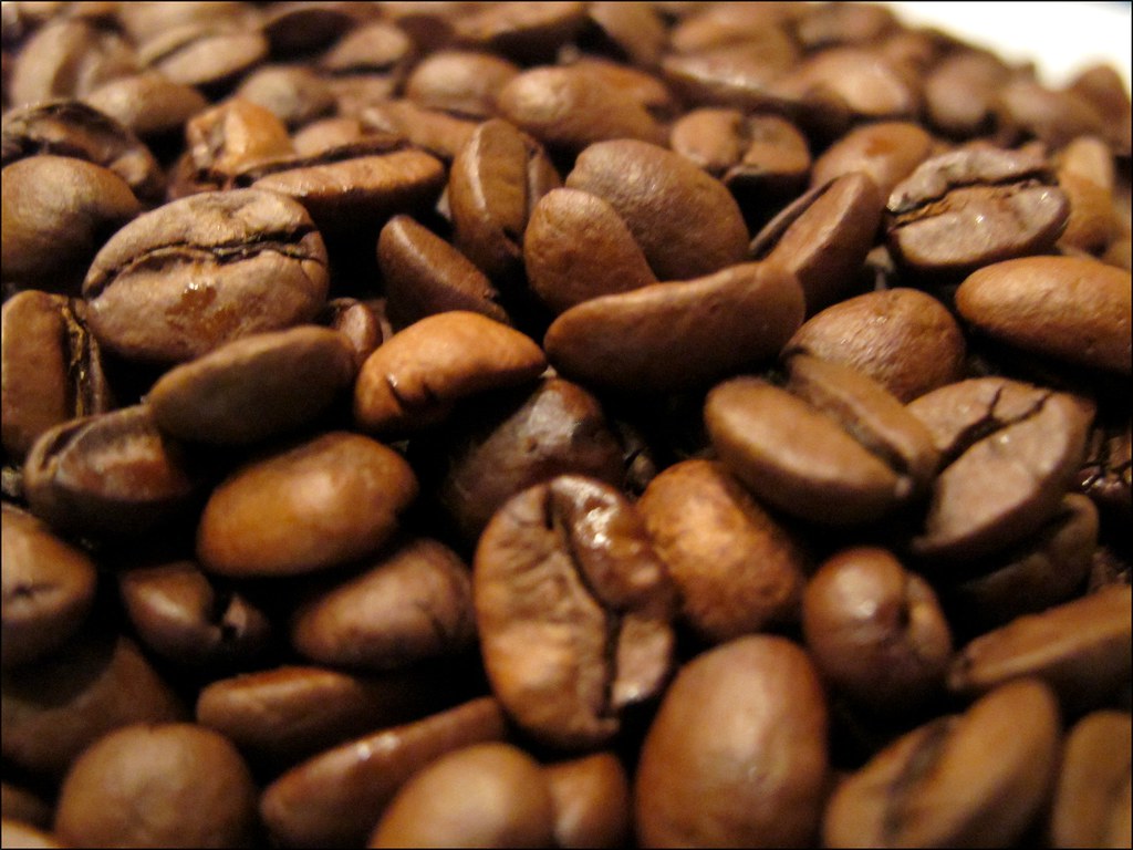 Tasse de café filtre préparée avec des grains de la brûlerie